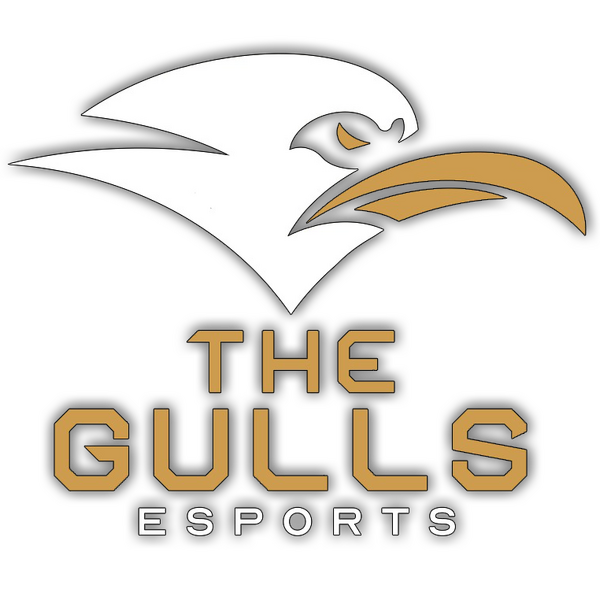 The Gulls Esports