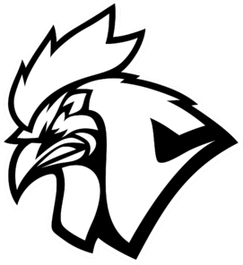 Chicken Coop Esports