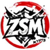 ZSM