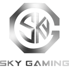 Sky Gaming