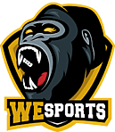 WeSports
