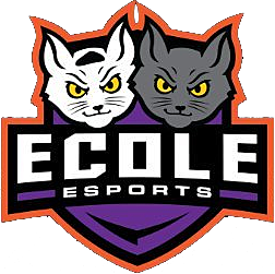 Ecole eSports