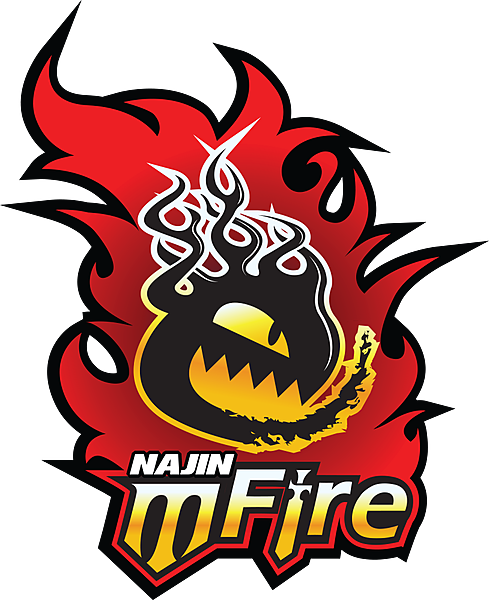 NaJin e-mFire
