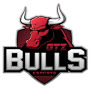 GTZ Bulls Esports