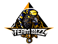 TEAM BIZZ