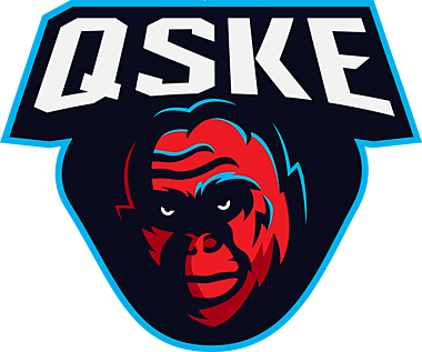QSKE Gaming