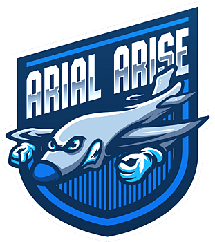 Arial Arise Academy