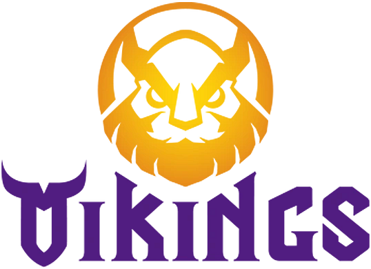 MGN Vikings Esports