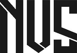 Team NVus